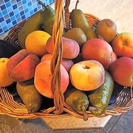 Altes Salzamt Bad Dürrenberg